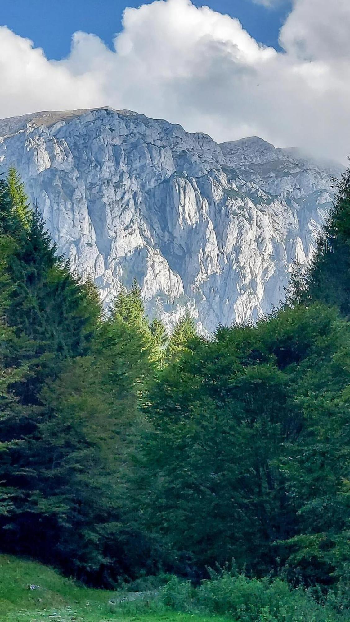 Cazare Zorilor Zărneşti Szoba fotó
