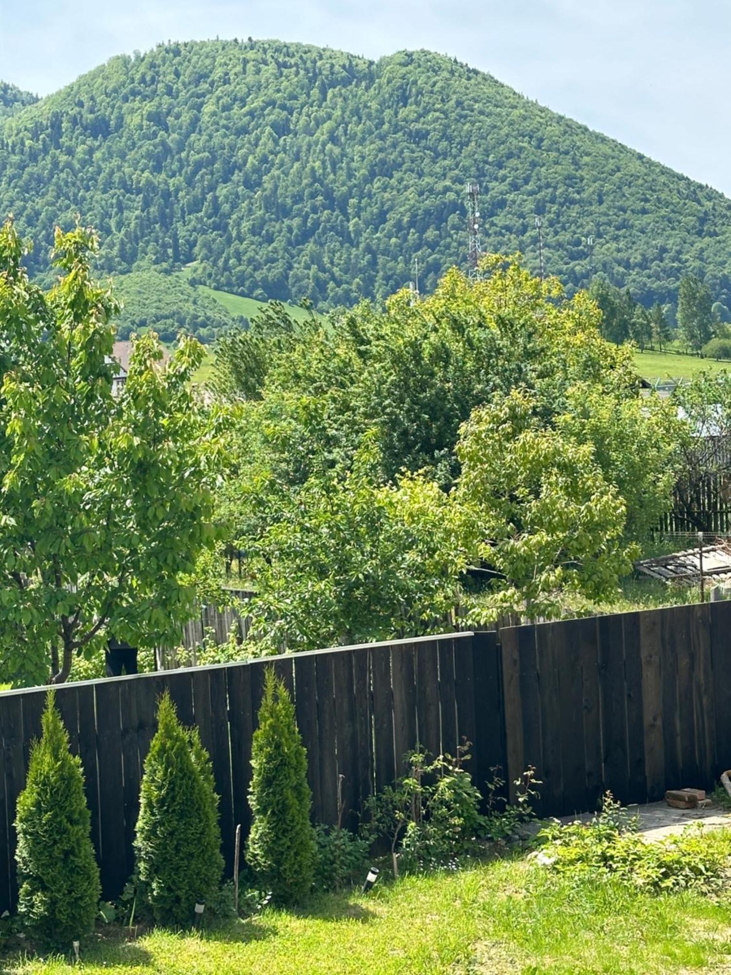Cazare Zorilor Zărneşti Szoba fotó