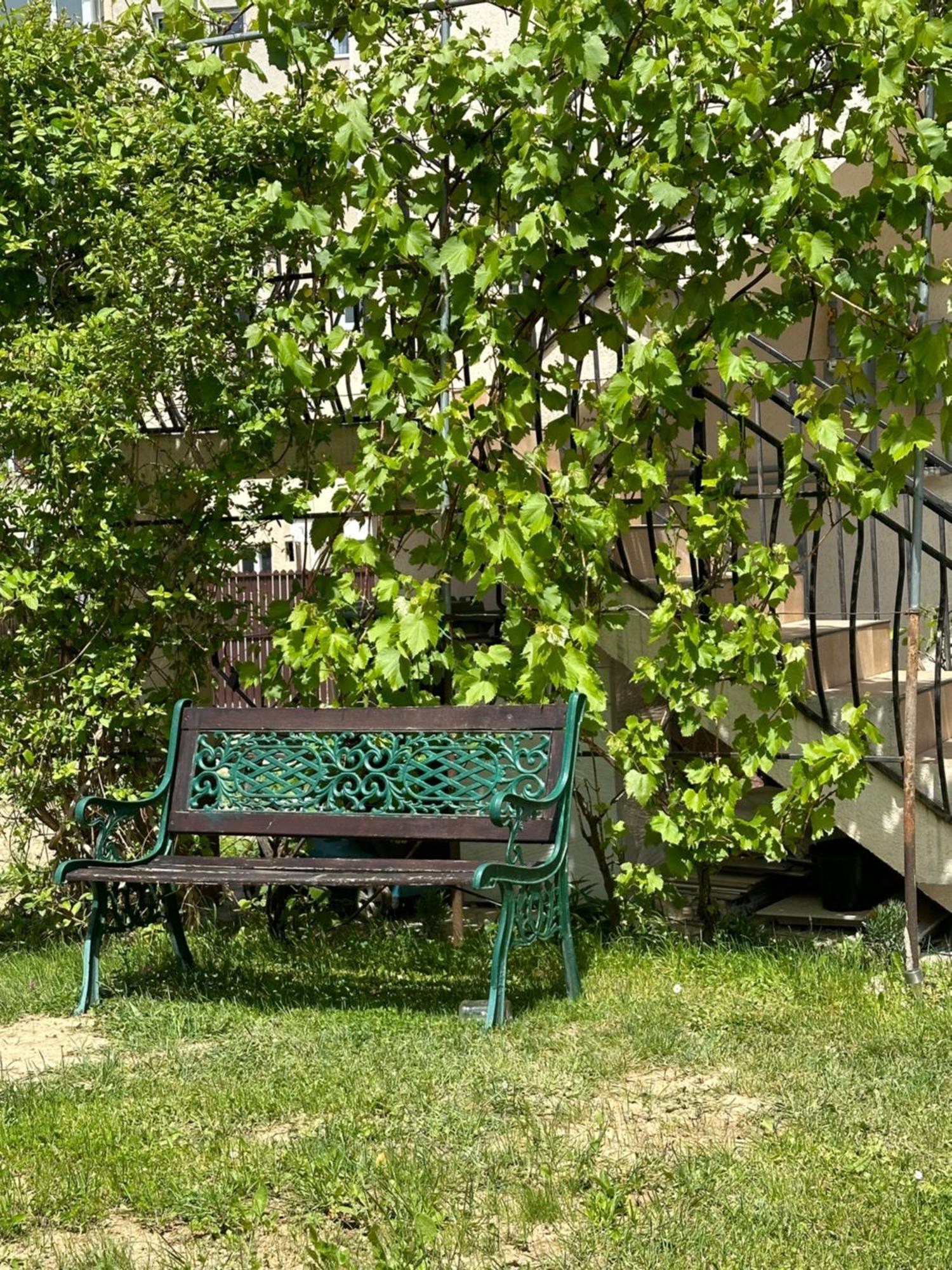 Cazare Zorilor Zărneşti Szoba fotó